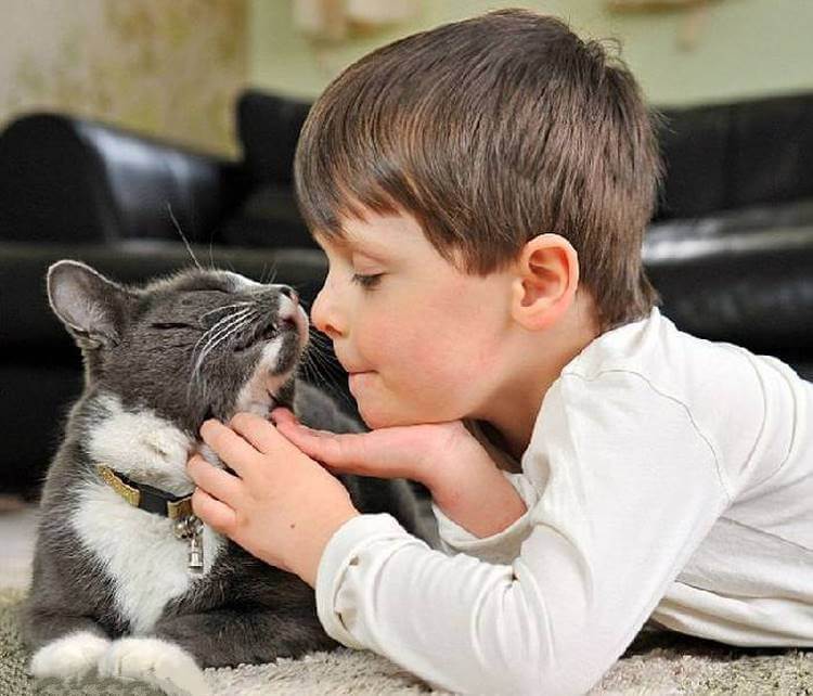 Как бездомный кот и больной мальчик помогли друг другу