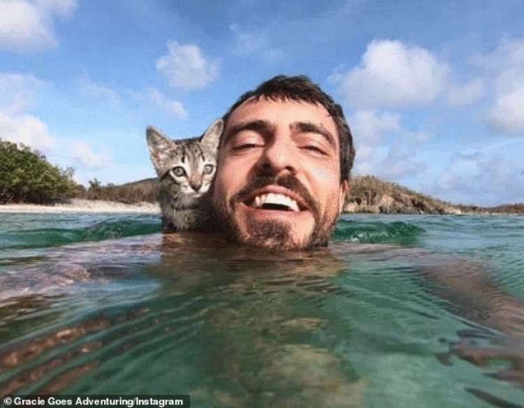 Кошечка настолько любит своего хозяина, что даже пошла с ним плавать в океане