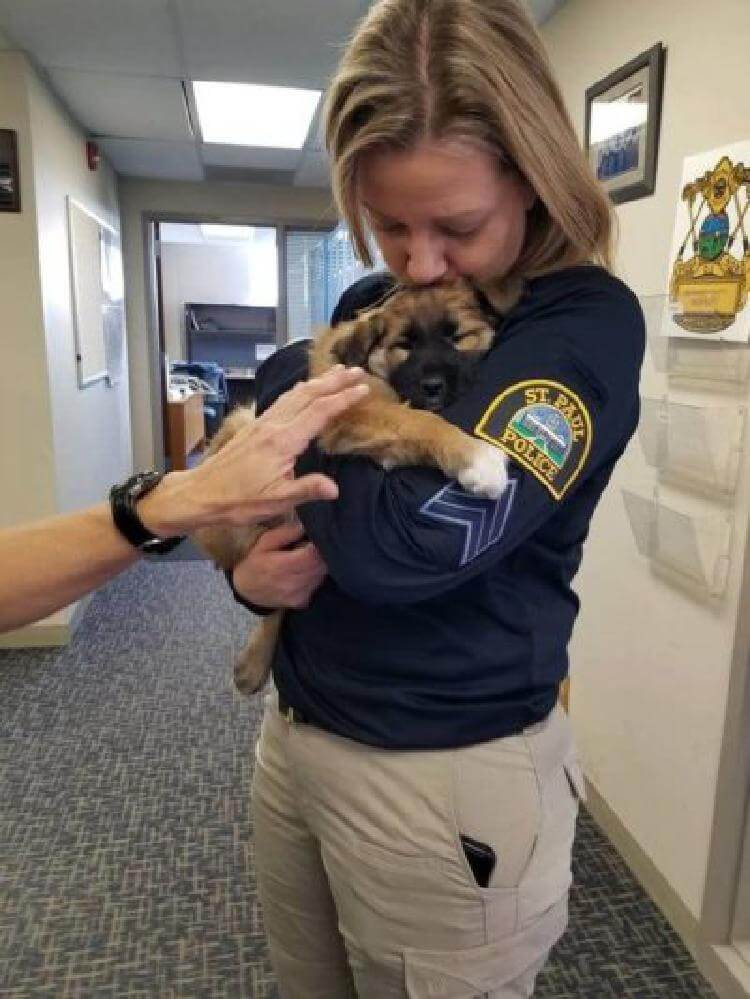 Полиция спасла щенка, и он оказался так хорош, что для него придумали особую должность!