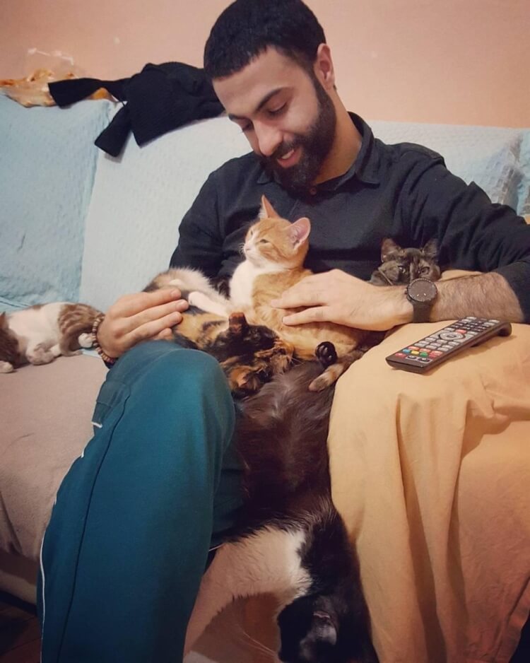 Мужчина спас девятерых кошек, и теперь по ночам они приходят его благодарить!