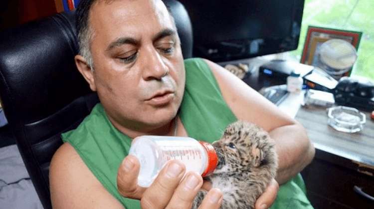 Ветеринар из Челябинска спасает редких животных