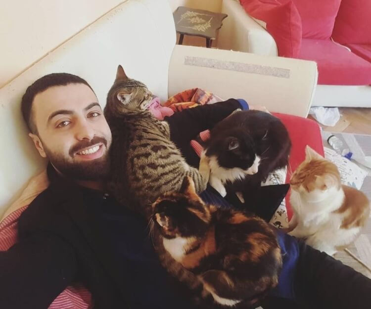 Мужчина спас девятерых кошек, и теперь по ночам они приходят его благодарить!