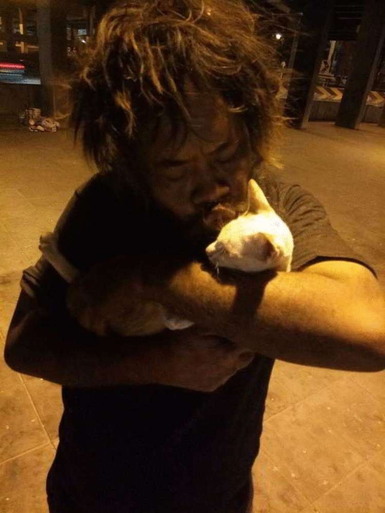 Бездомный мужчина, недоедая сам, ежедневно подкармливает голодных кошек