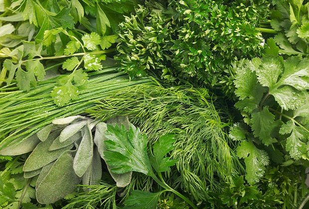 Як заготовити зелень на зиму, не втративши смак, аромат та користь?